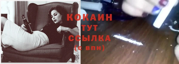 эйфоретик Богородицк